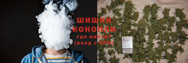 молекула духа Богородск
