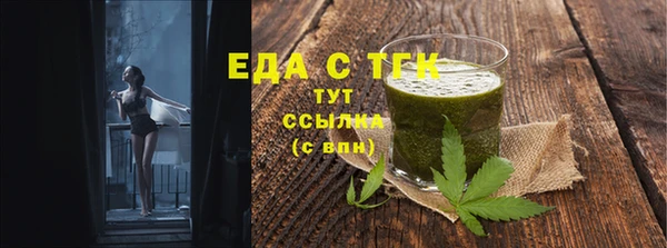 дмт Богородицк