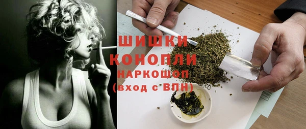 дмт Богородицк