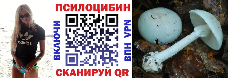 Псилоцибиновые грибы Magic Shrooms  Дмитровск 